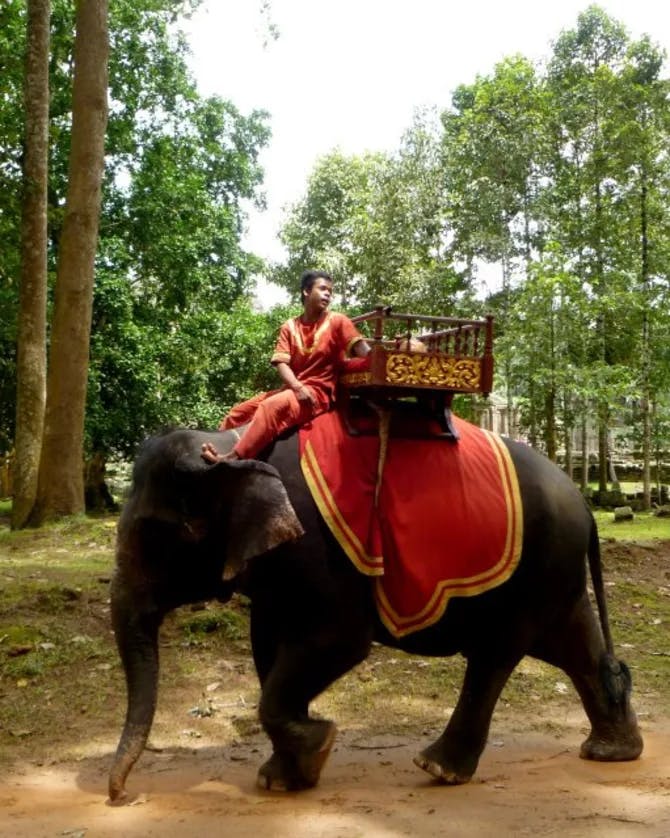 A man riding on an elephant 
