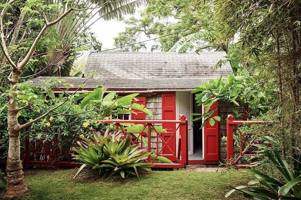 A tiny cabin with bright red accents hides behind tropical vegetation