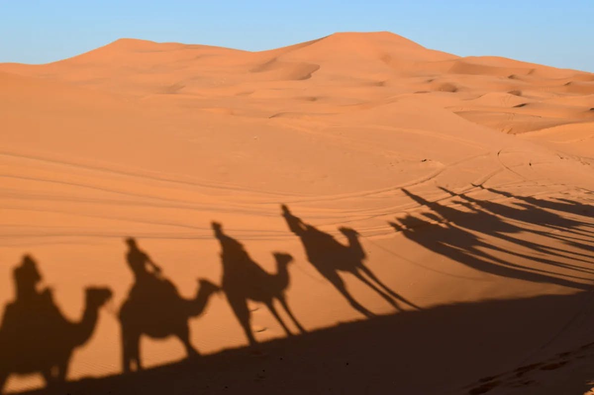 A camel ride is a bucket-list experience.