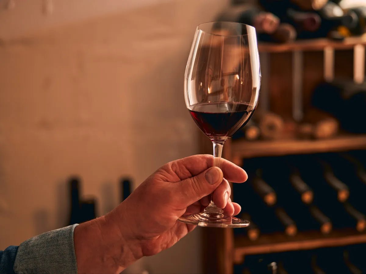 The image shows a close-up of a person’s hand holding a glass of red wine with a background featuring wine bottles.