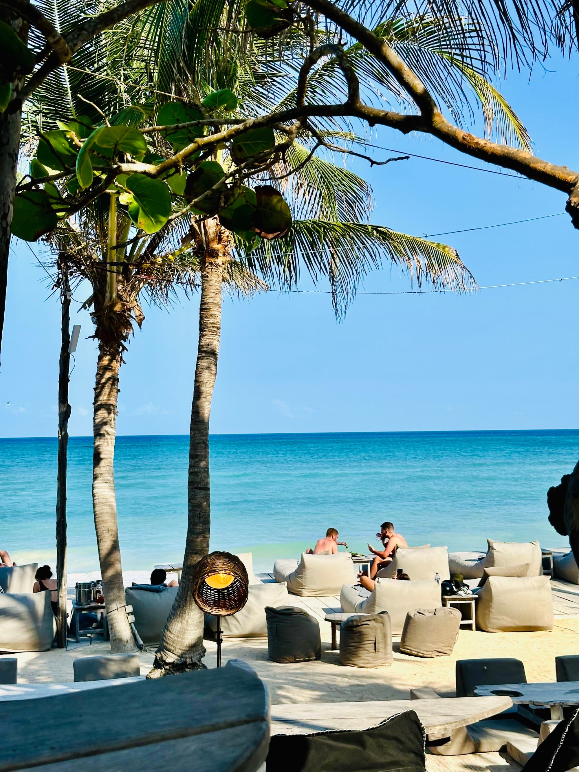 A picture of two people sitting in lounge chairs next to a beach and turquoise blue water. There are palm trees standing tall above them, too. 