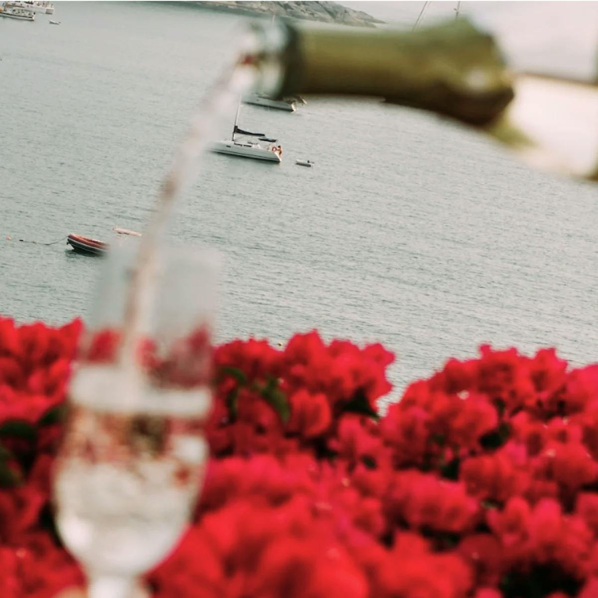 champagne is poured into a flute near a hedge of red flowers