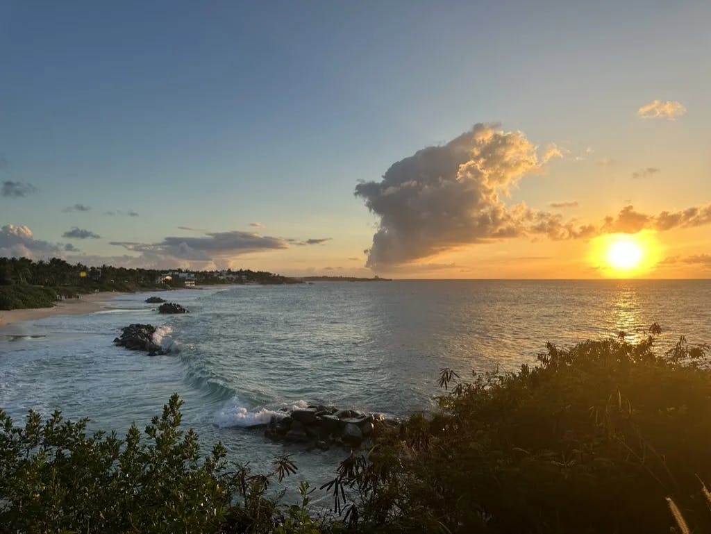 Sunset over the ocean and a beach in view with gentle waves and some foliage