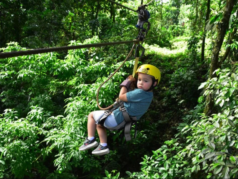 A picture of a young boy ziplining through the trees during the daytime.