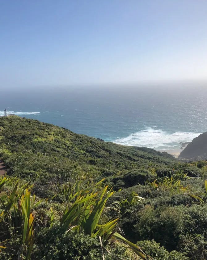 mountain range and coast side