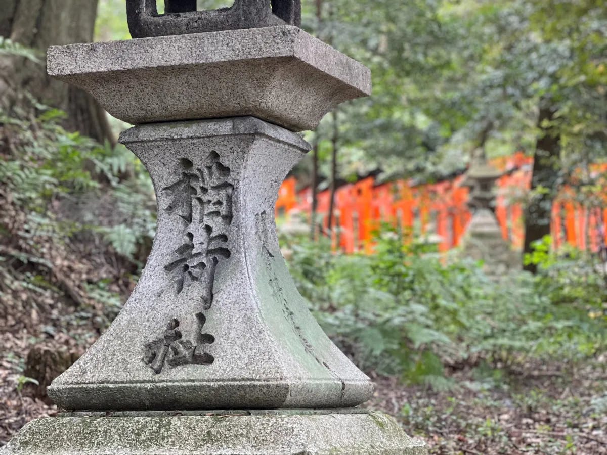 Kyoto city views