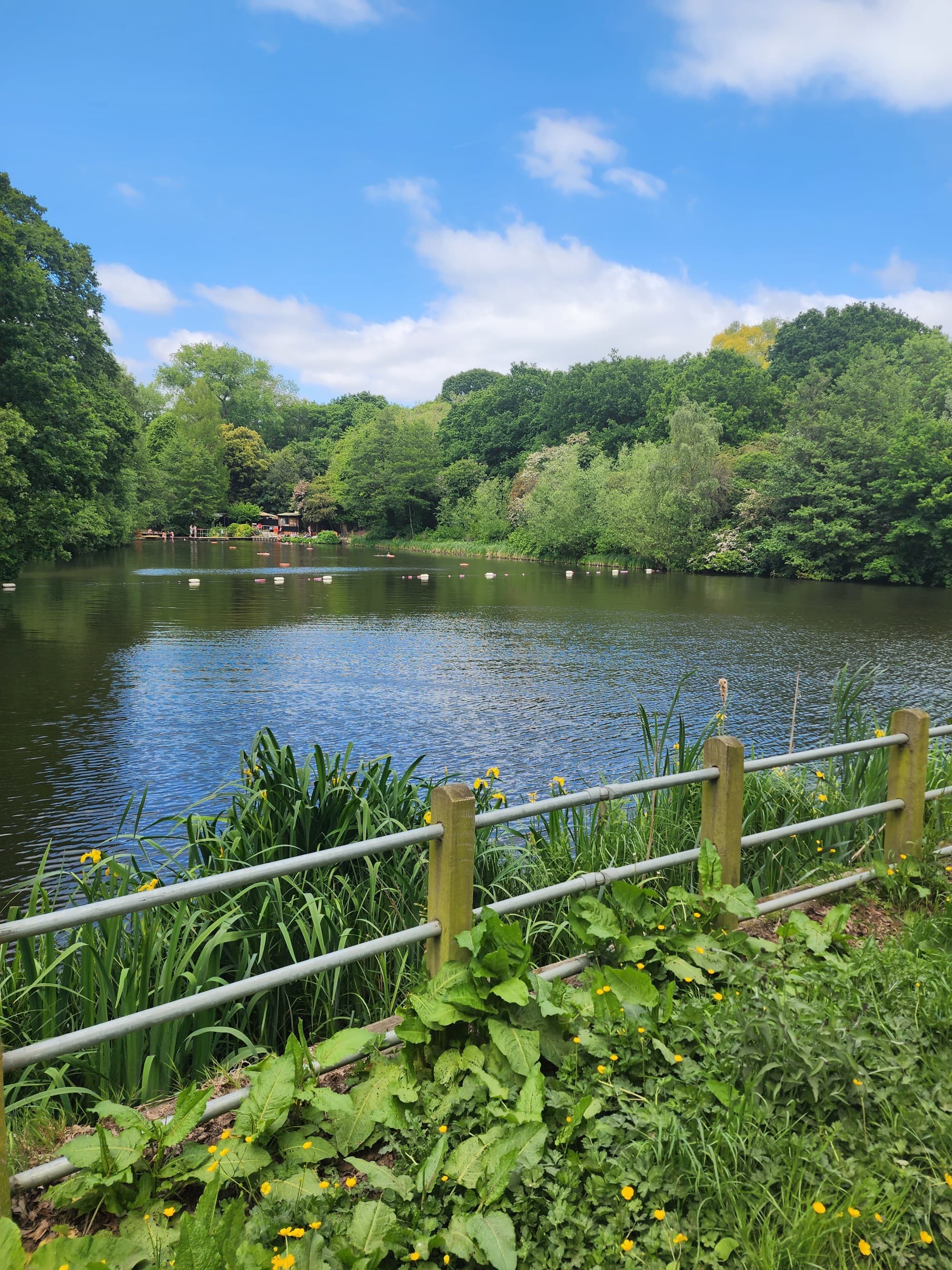 Hampstead Heath - Heather Budd