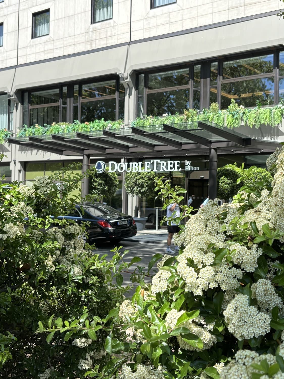 The exterior of the DoubleTree as seen through a hedge with white flowers.