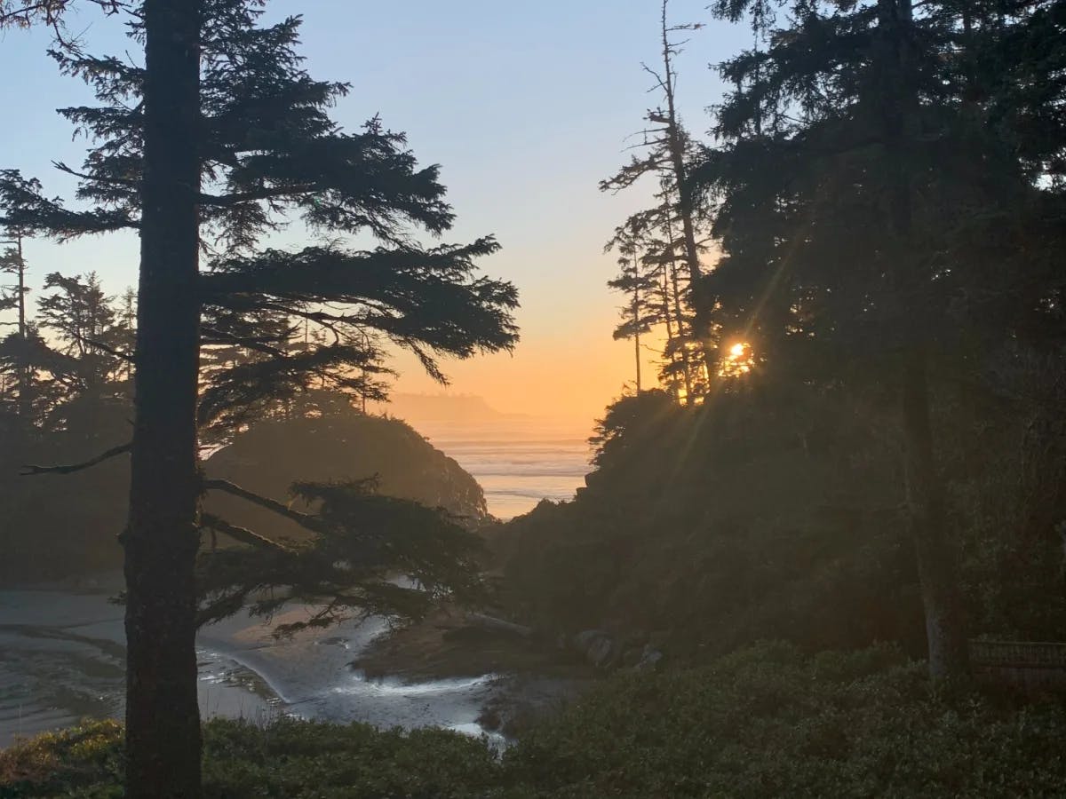 A trail with view of sunset, waterbody, trees and grass.