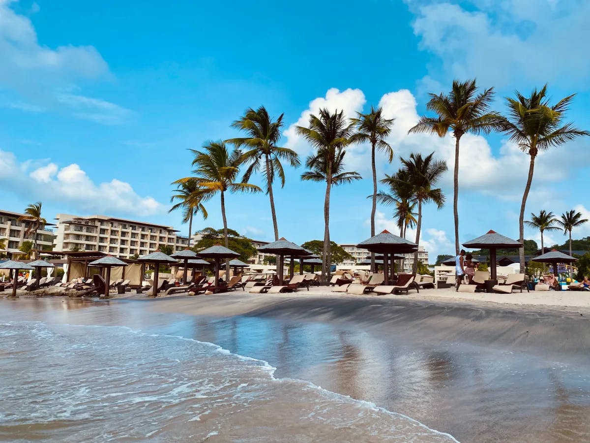 Palm trees, huts and buildings near the beach