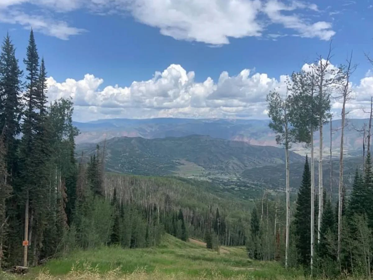 A picturesque landscape featuring a verdant forest, open grassland, and distant mountains under a partly cloudy sky.