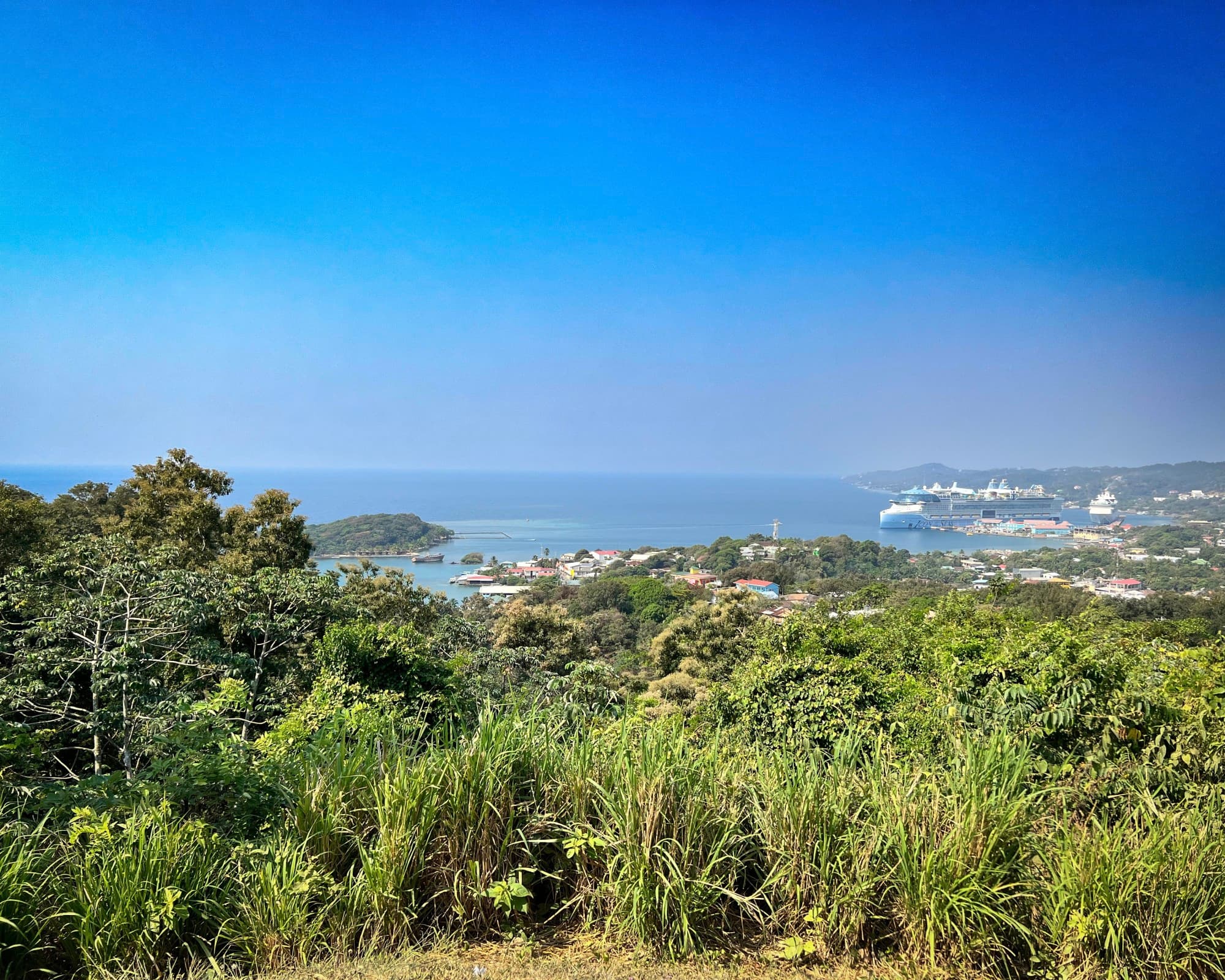 Roatan View - Joelle Massari 