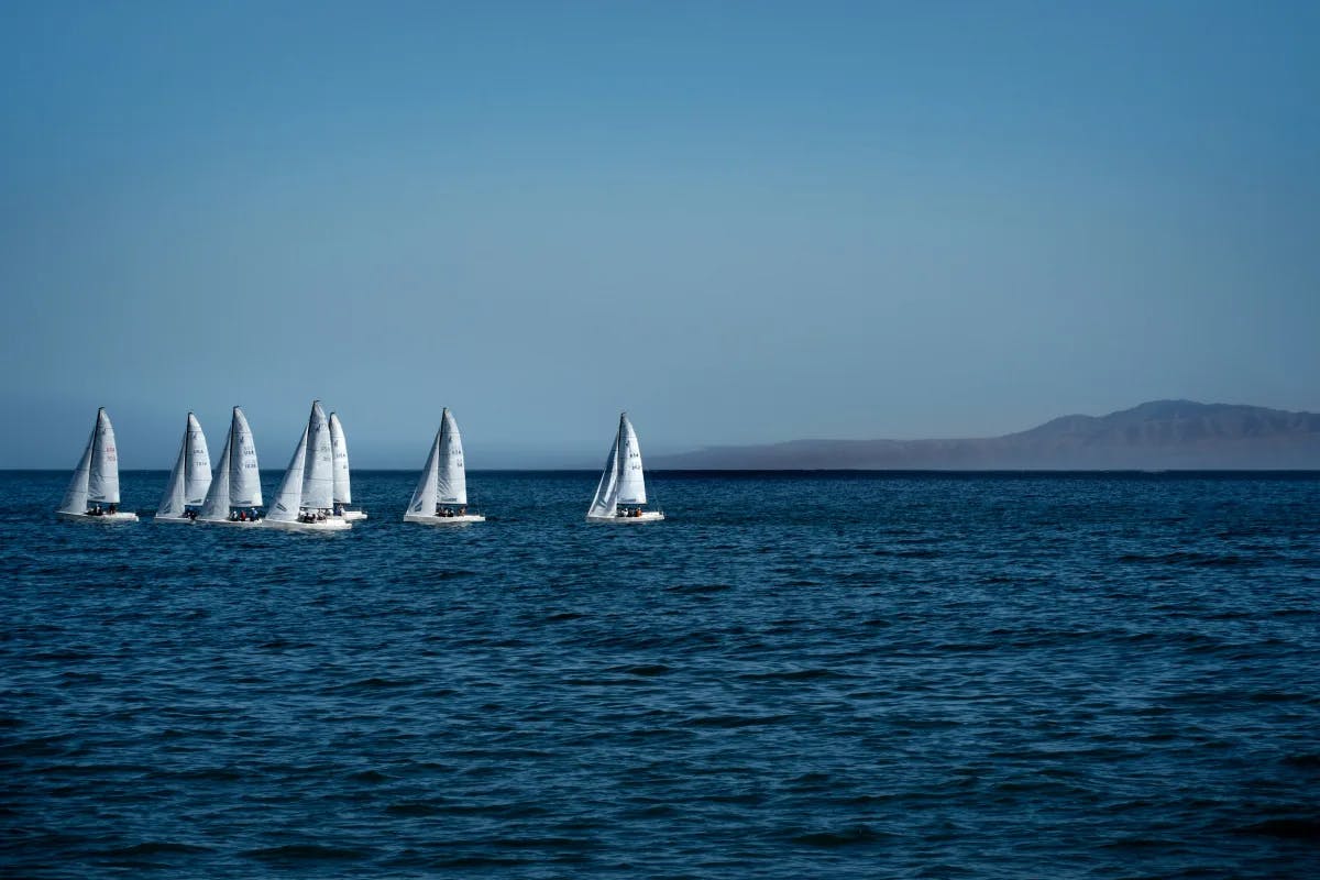 A group of white sailboats on the water during the daytime