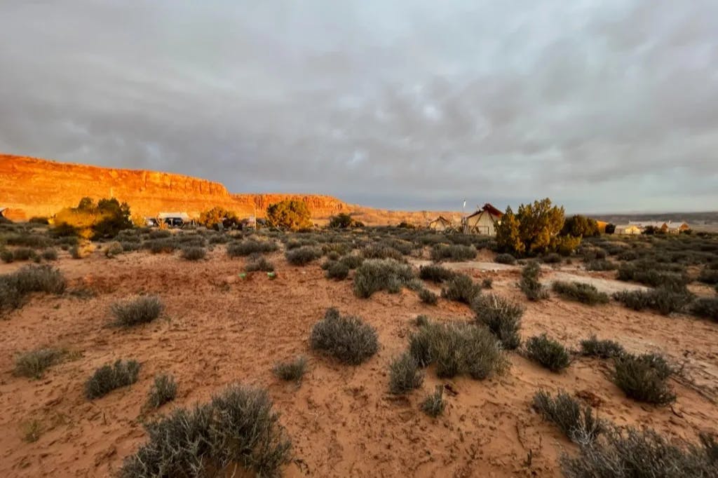 A vast desert with patches of shrubs