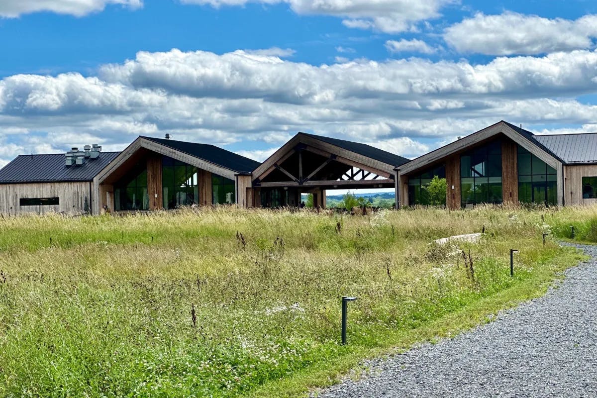 Conjoined cabins on a green meadow during the daytime