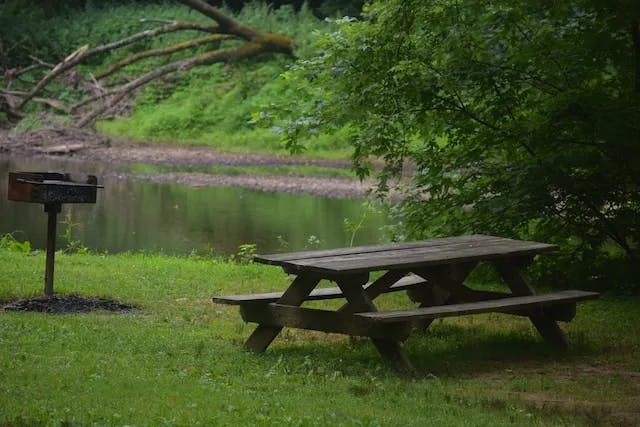 Bench on a river side