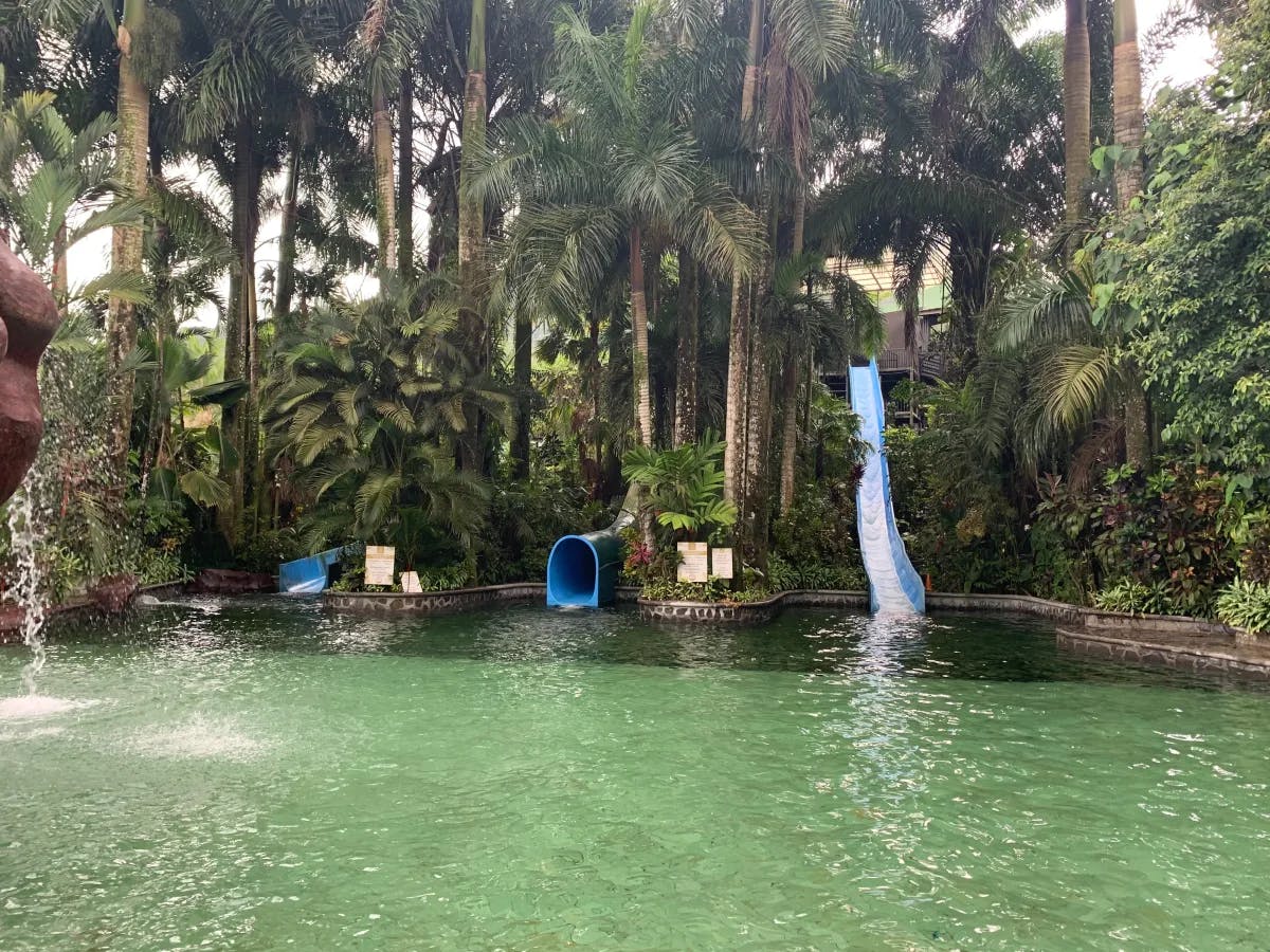 A picture of a water park covered with green plants during daytime.