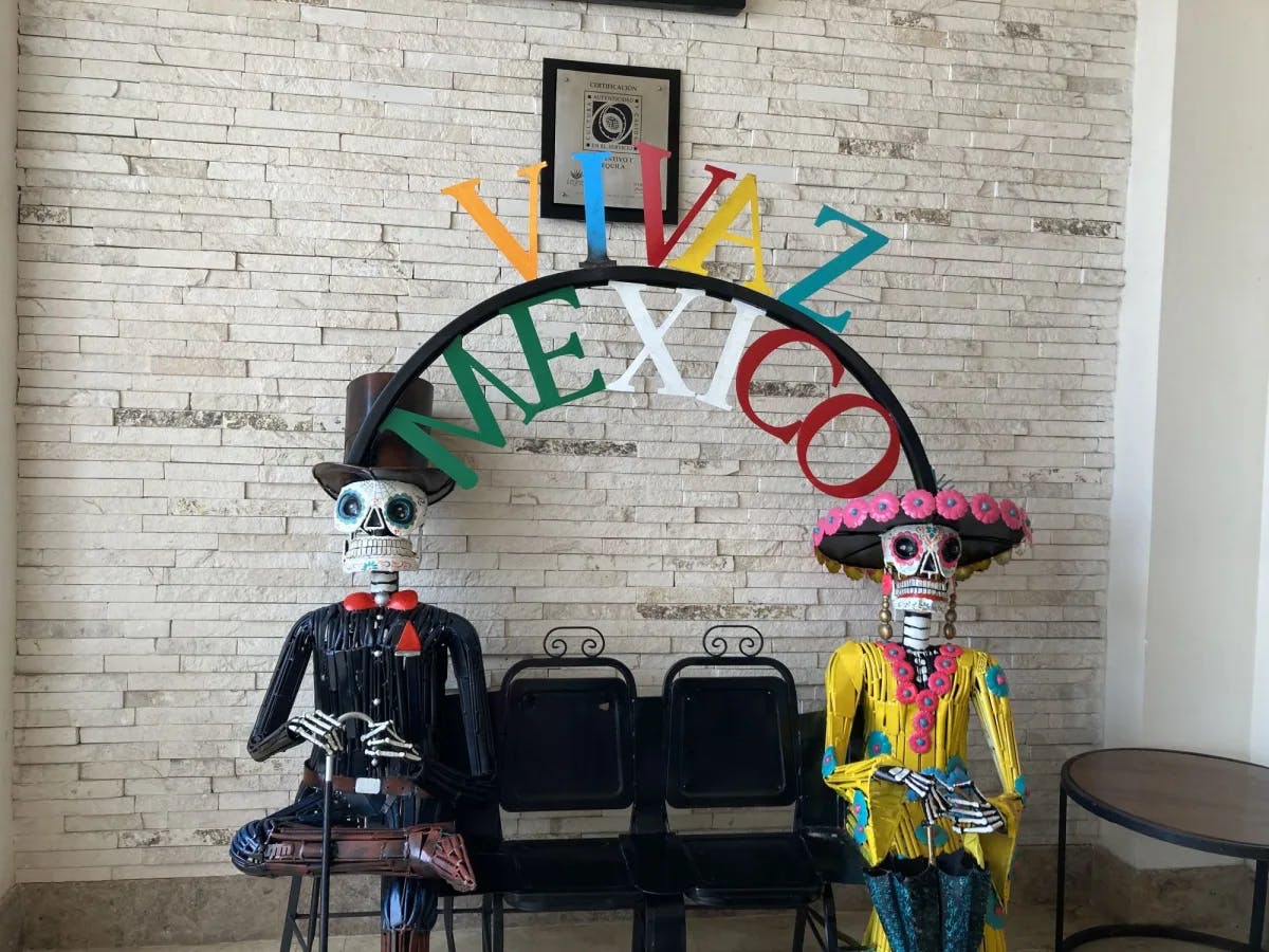 Two skeletons dressed up in funky costumes and sitting on black chairs inside