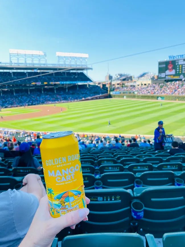 A person holding a yellow Mango Cart beer can at Wrigley Field during daytime, looking over rows of seats at a baseball game.