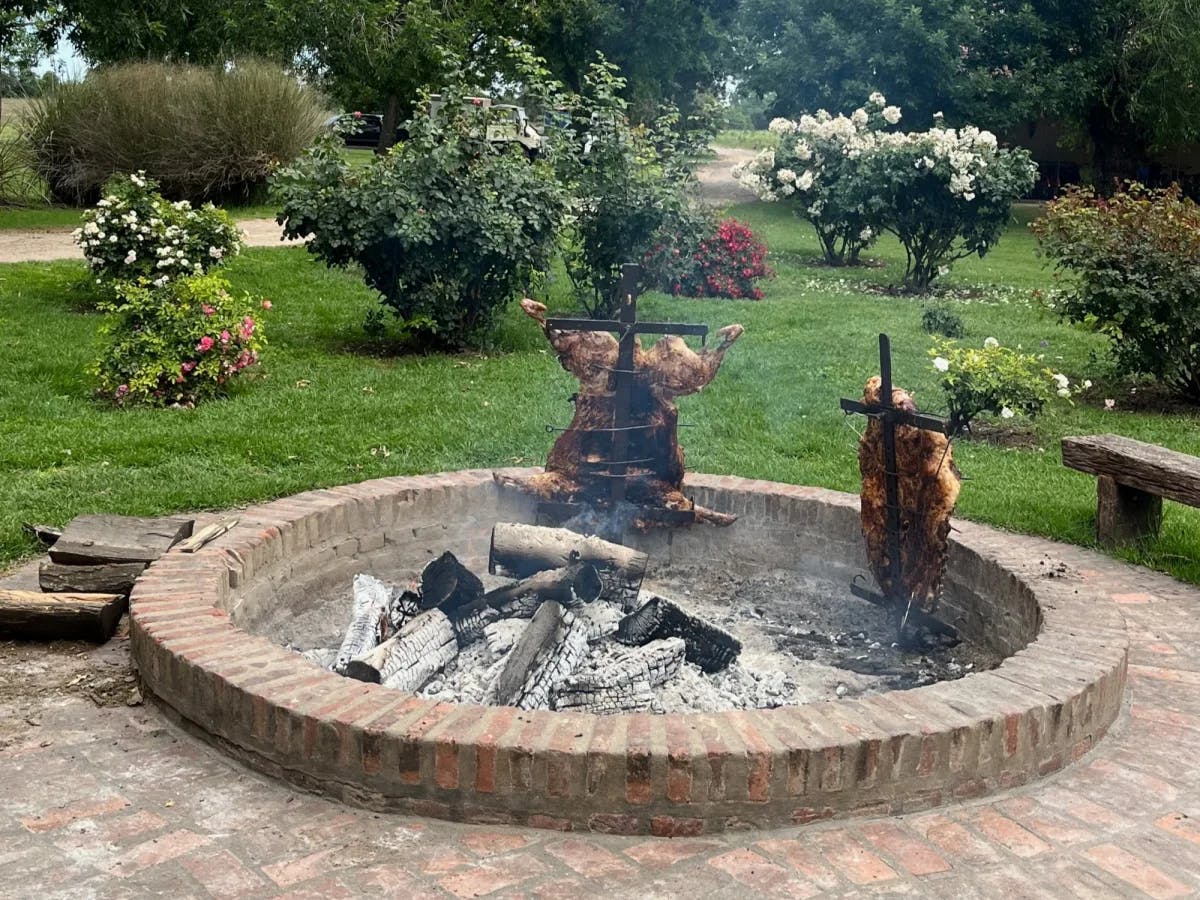 A garden with outdoor BBQ.