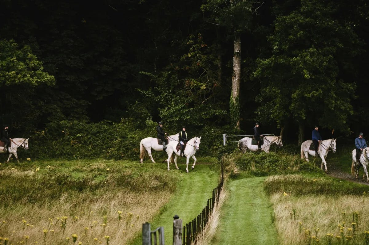 People riding white horses through a green field in the forest.