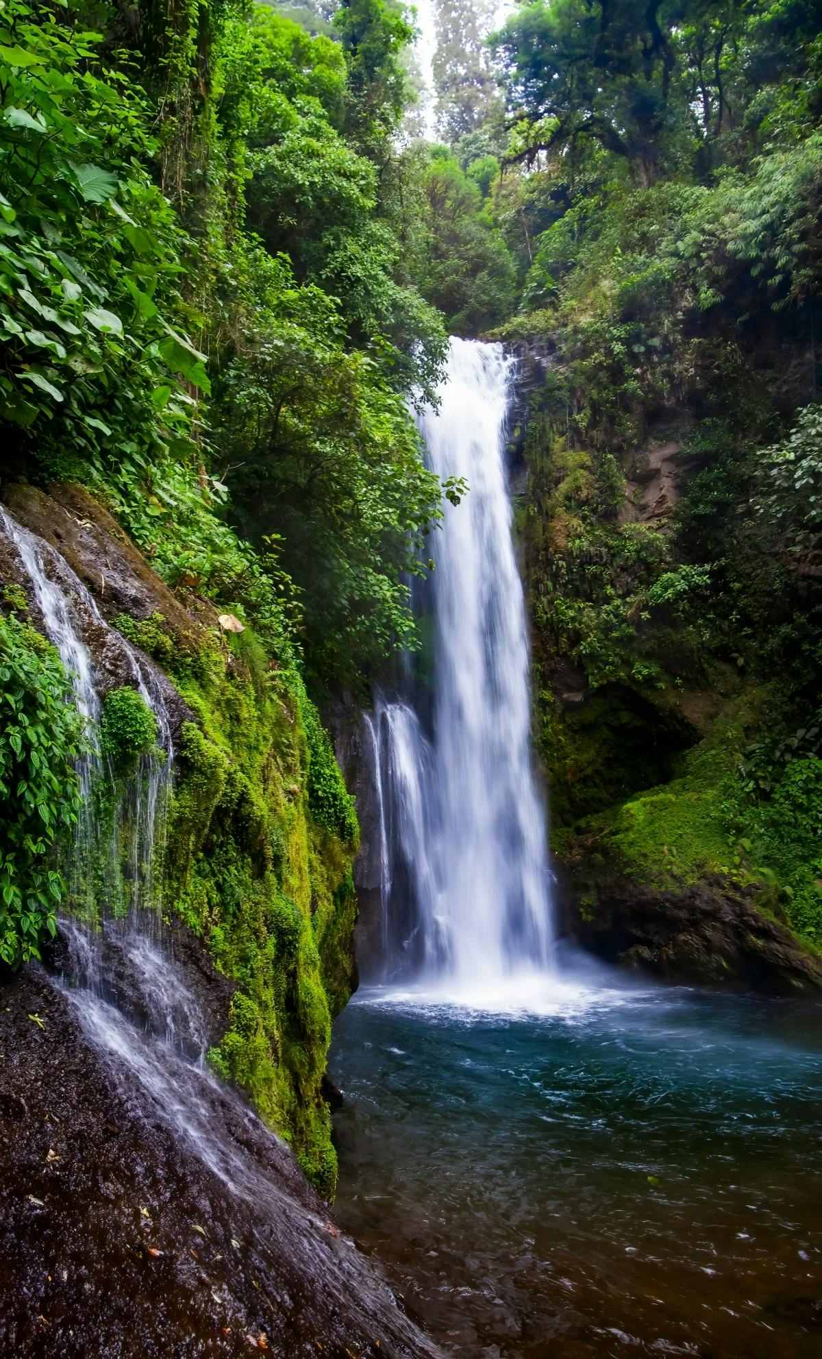 A view of a flowing waterfall in Costa Rica, surrounded by lush, jungle, greenery.