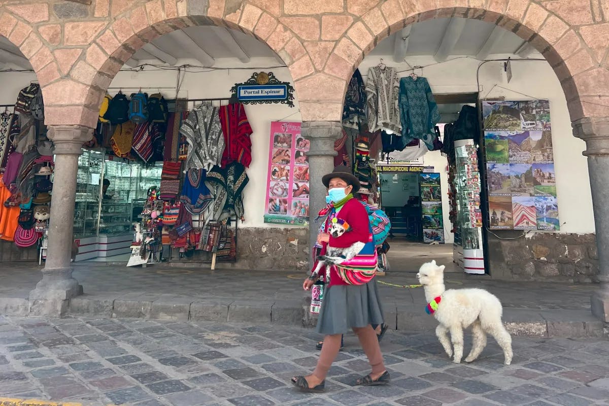A man walking with a llama at Cusco.