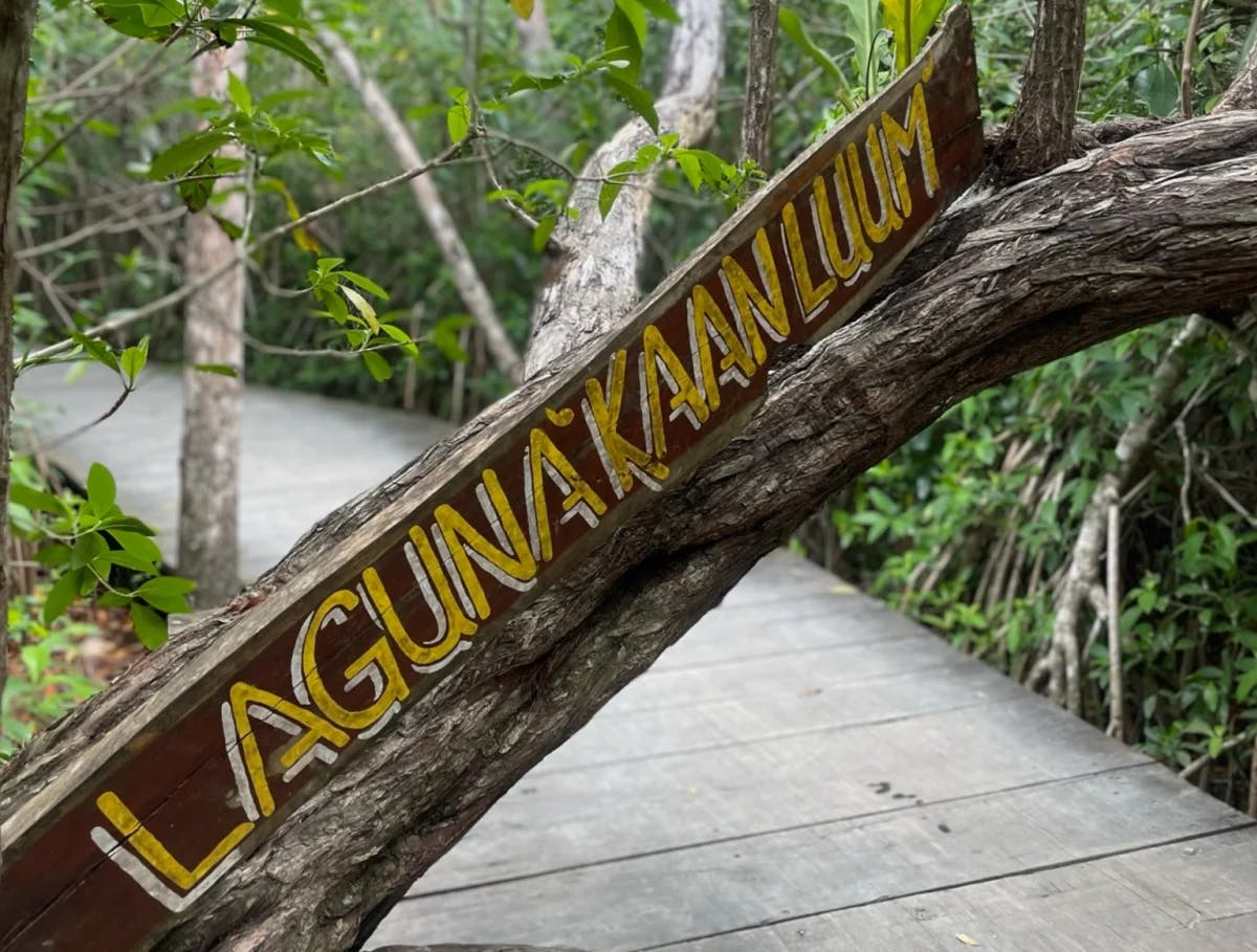 A picture of a sign in the jungle that says Laguna Kaanluum