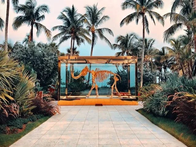 The skeleton of a dinosaur in a glass case, located outside, and surrounded by palm trees and local flora. 