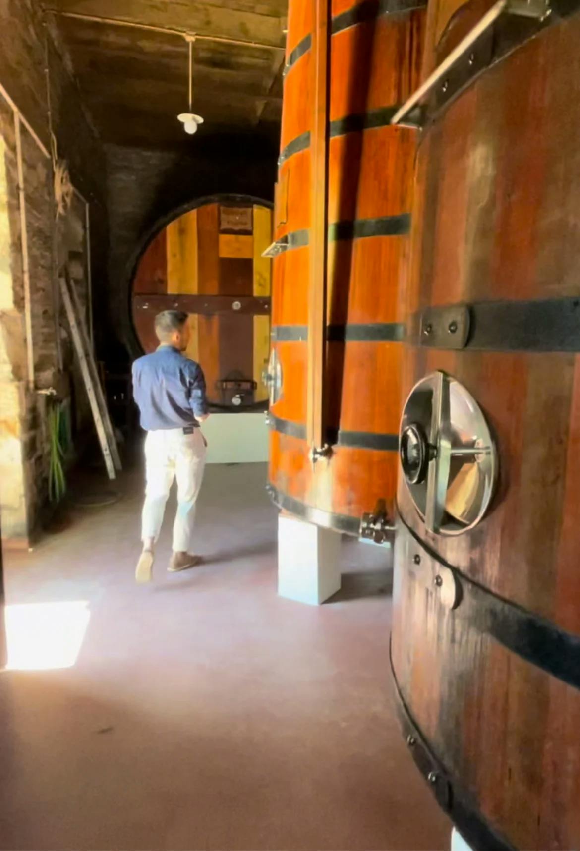 Inside Quinta do Panascal wine cellar, with a view of larger-than-life wine barrels. 