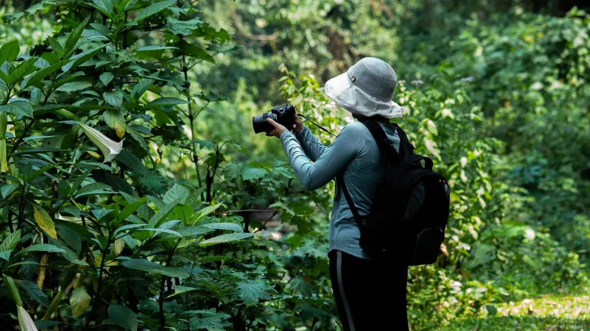 A tourist with a backpack taking a photograph in the jungle.