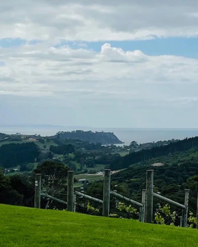 Beautiful greenery of New Zealand