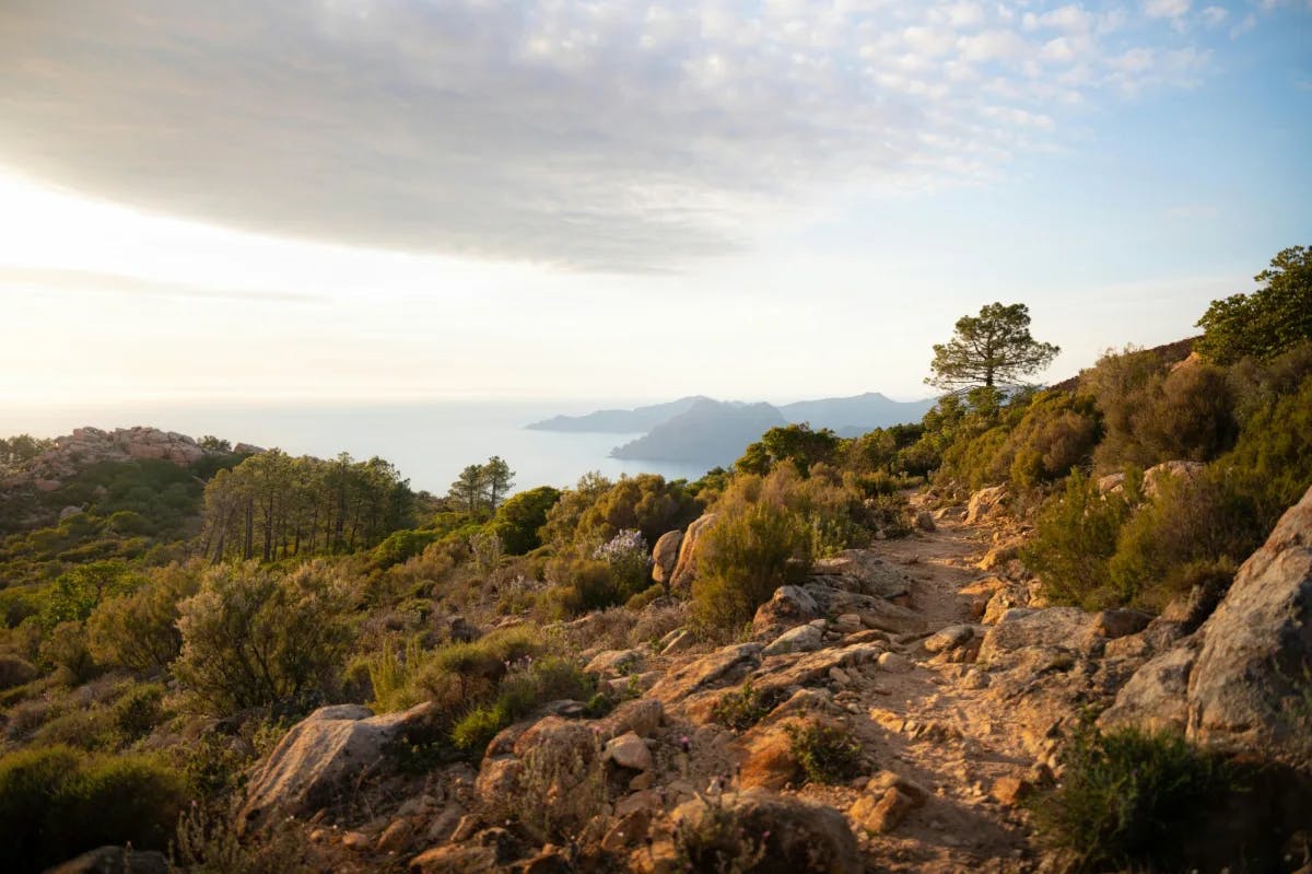 Rocky trail with greenery and ocean view in the background.