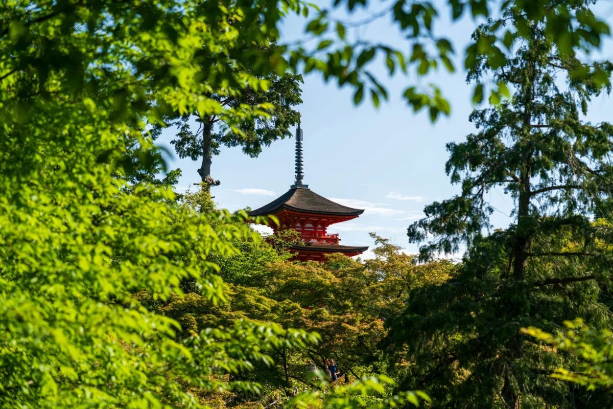 a red Japanese temple amid a lush green park