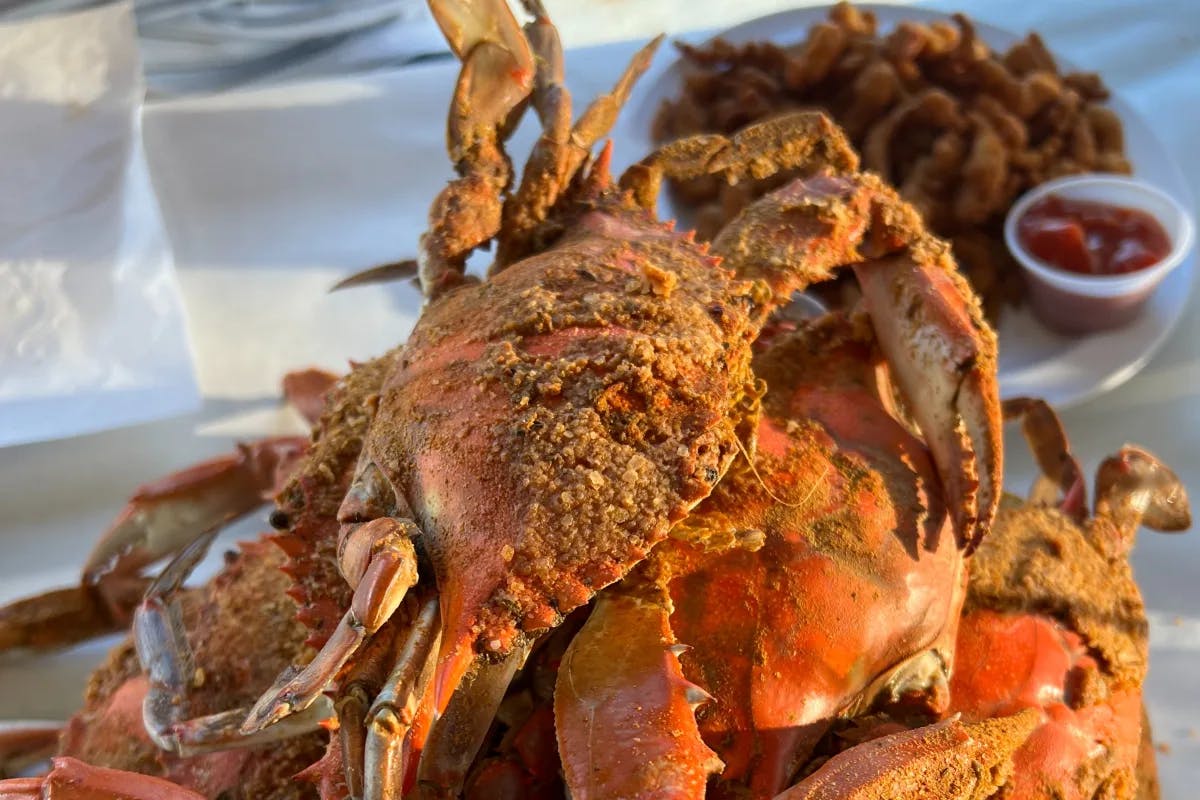 Steamed crabs at The Crab Claw.