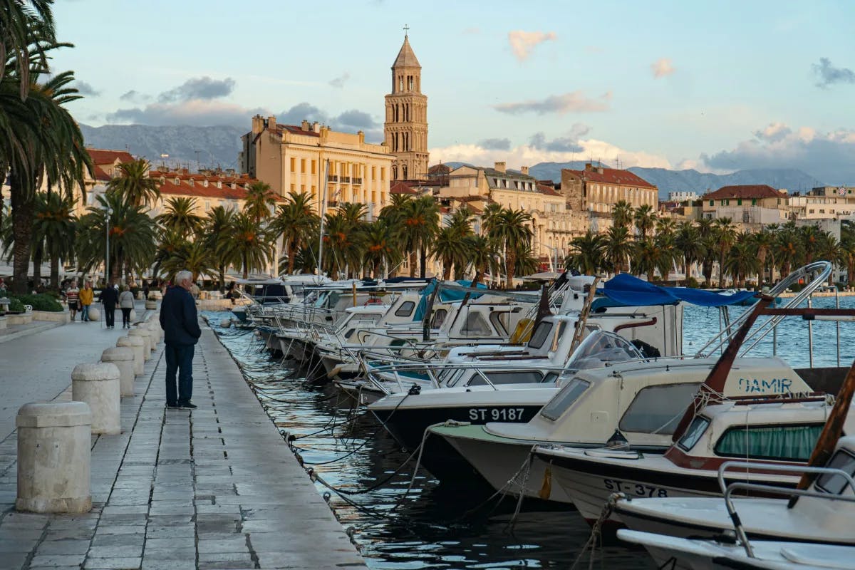 A person wearing black jacket walking on dock near white and blue boats during daytime.