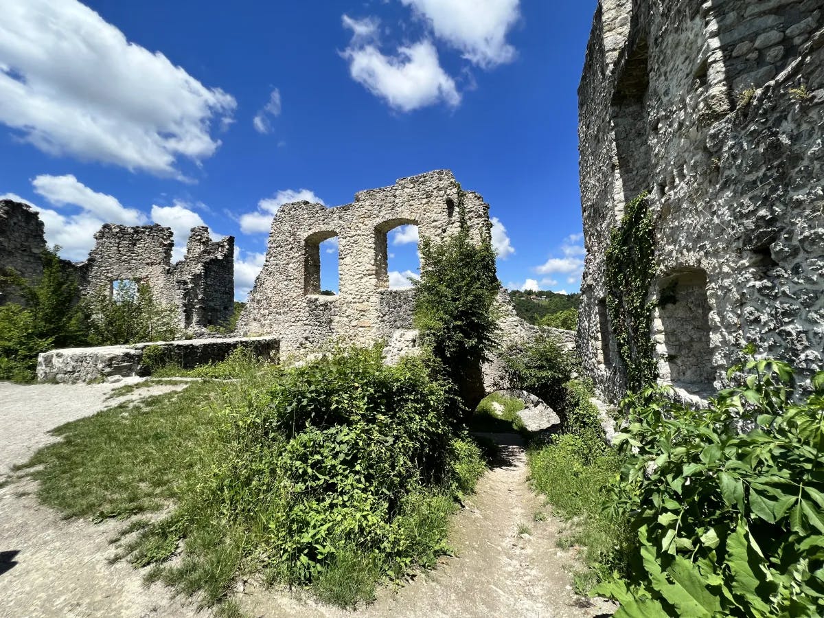 A stone castle with archways and various green plants and trees.