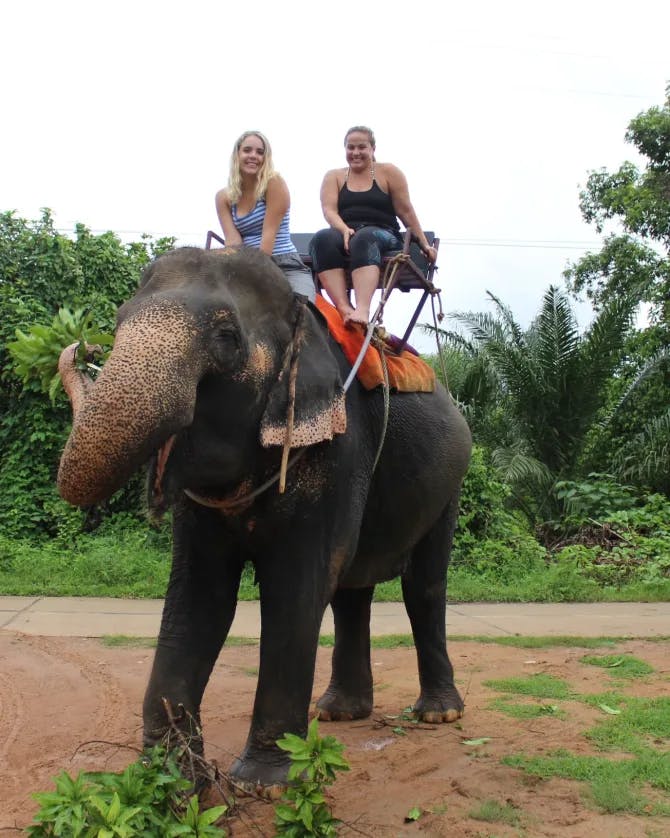elephant ride with friend