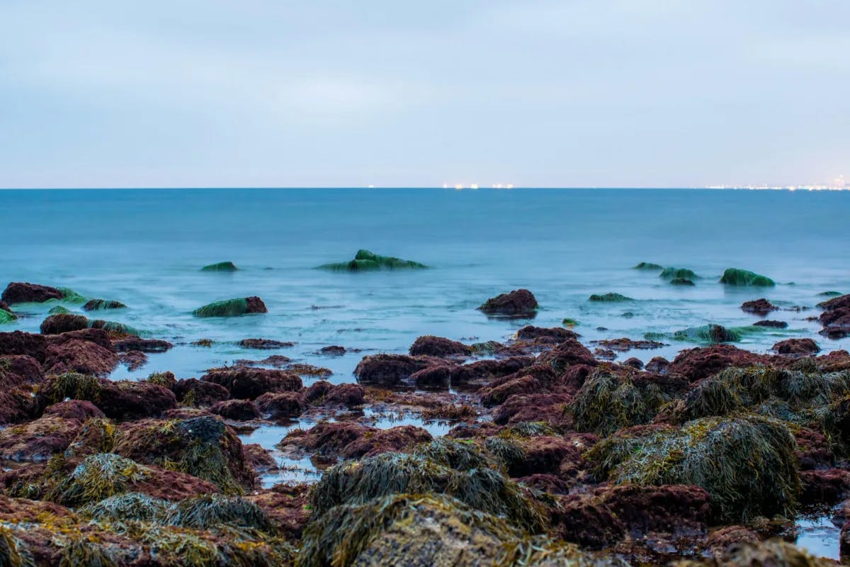 Low tide sunset and rocky shoreline at Palos Verdes.