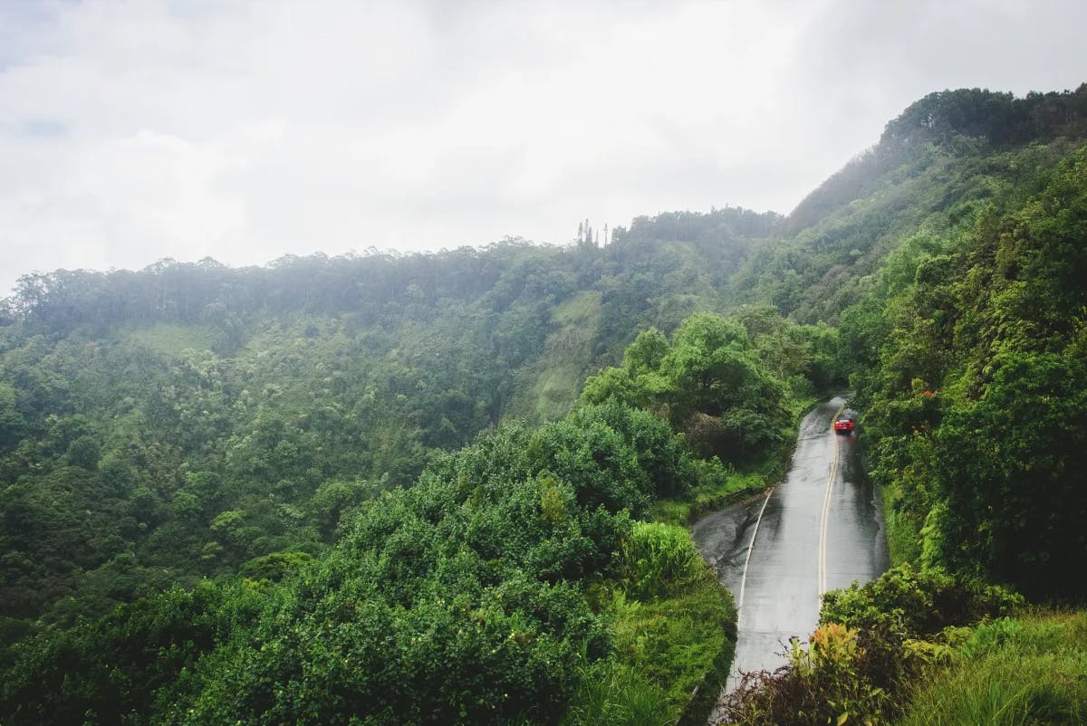 A lush forest with a road towards the right and red car driving down the road. There is fog in the air and clouds in the sky. 