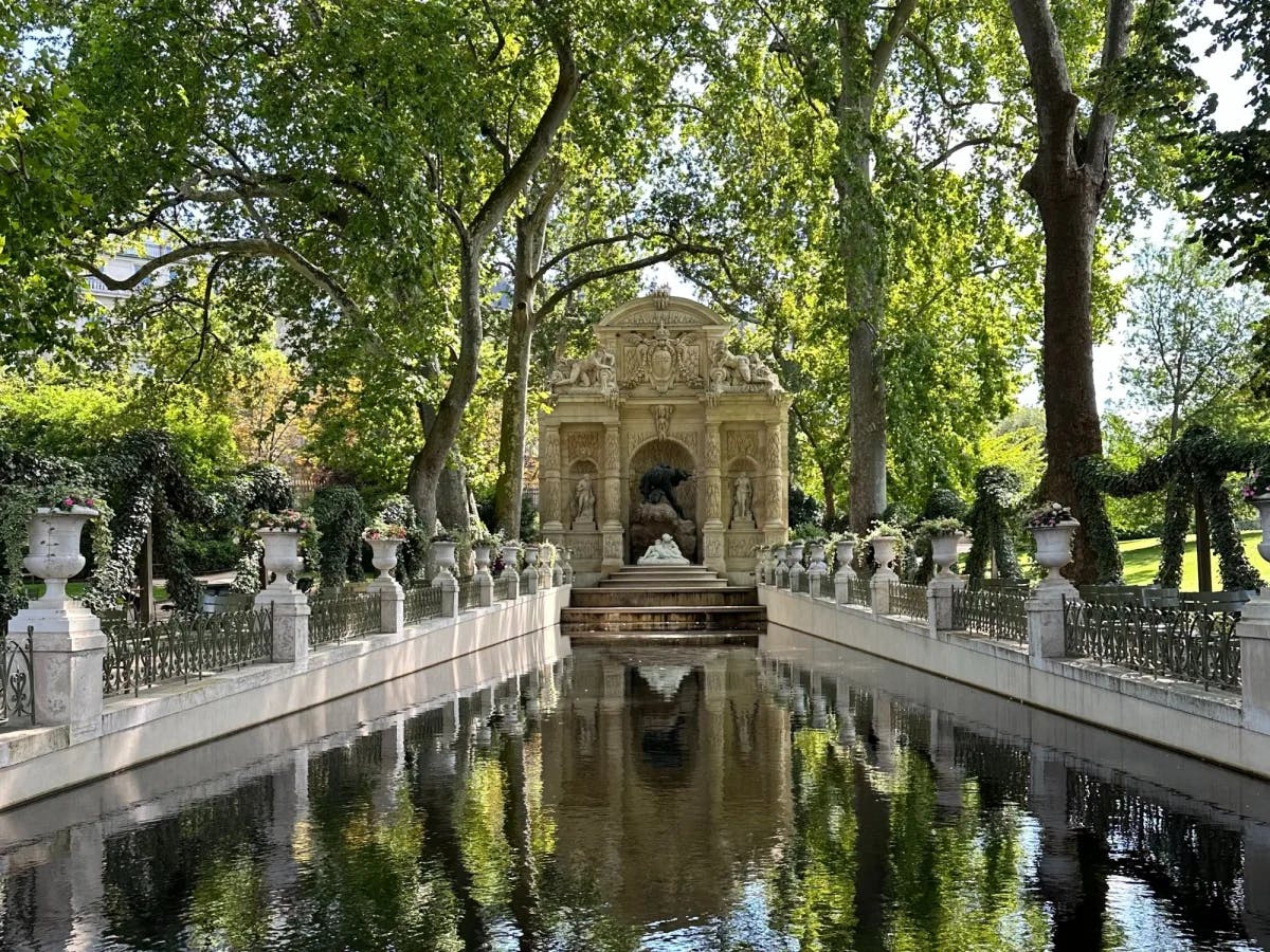 A pond with white  boundary surrounded by big trees.  