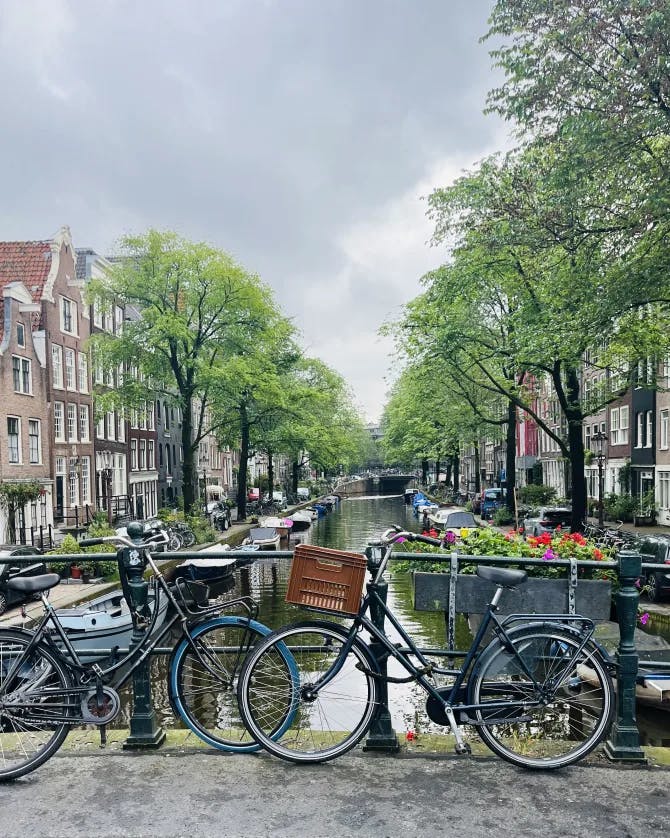 View of a tree-lined canal in Amsterdam with bikes chained to a bridge railing on a cloudy day