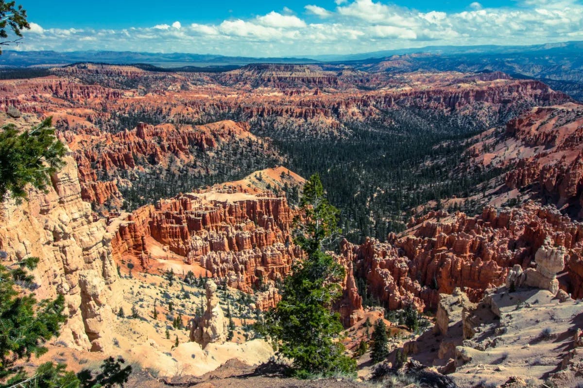 Aerial view of canyons with brown and red rock, green trees and a blue partly cloudy sky during the day.