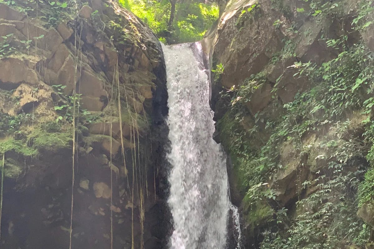 A waterfall in a forest during the daytime