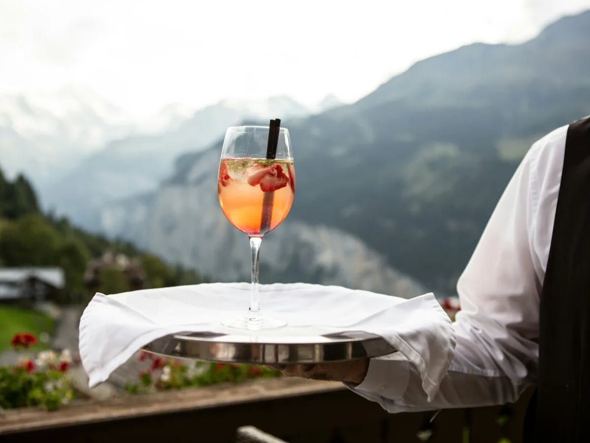 A picture of a person holding a glass of wine on a serving tray near the mountains.