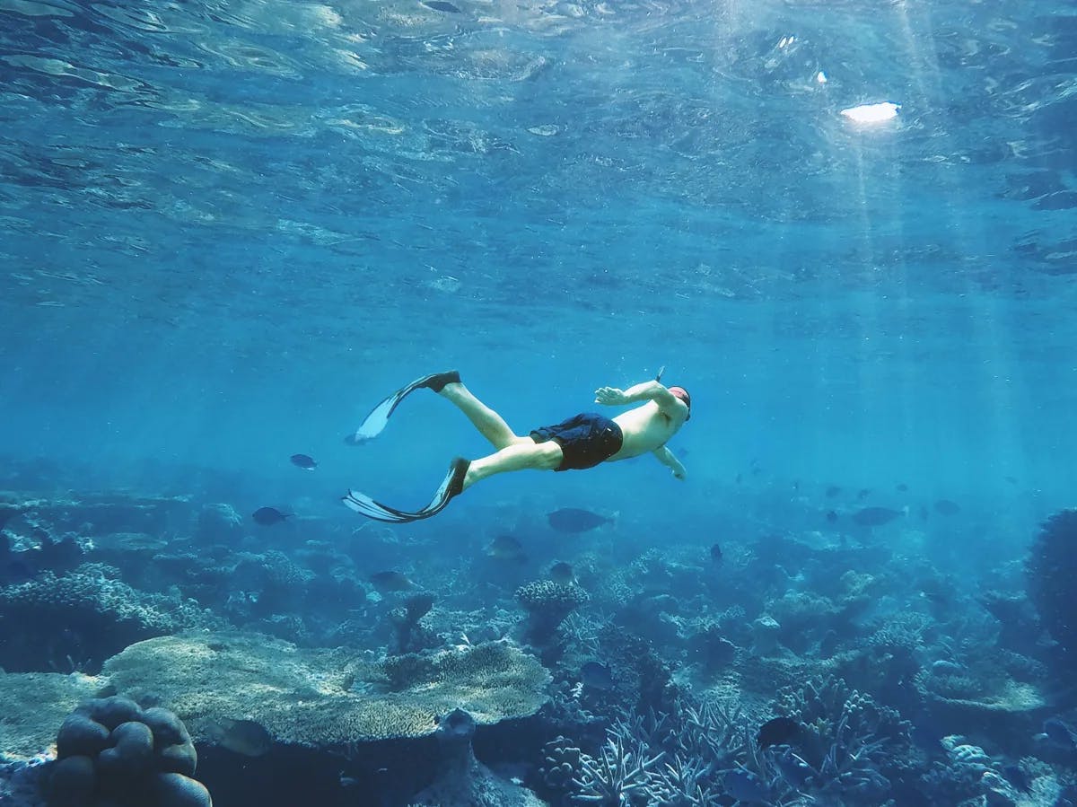 A person snorkeling over a vibrant coral reef in clear blue waters with sunlight streaming through.