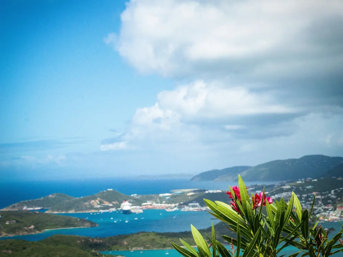 The image depicts a picturesque coastal landscape with clear blue skies and lush greenery.