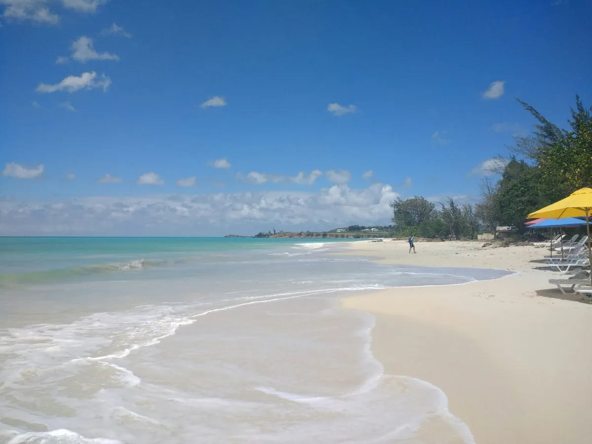 A beach during the daytime