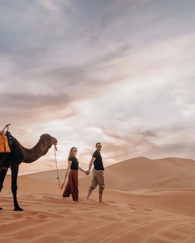 Walking a camel