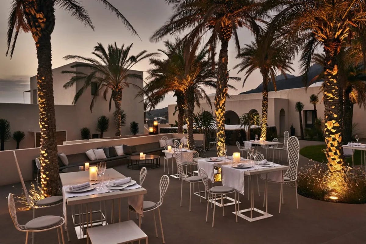 terrace with dining tables and palm trees at sunset